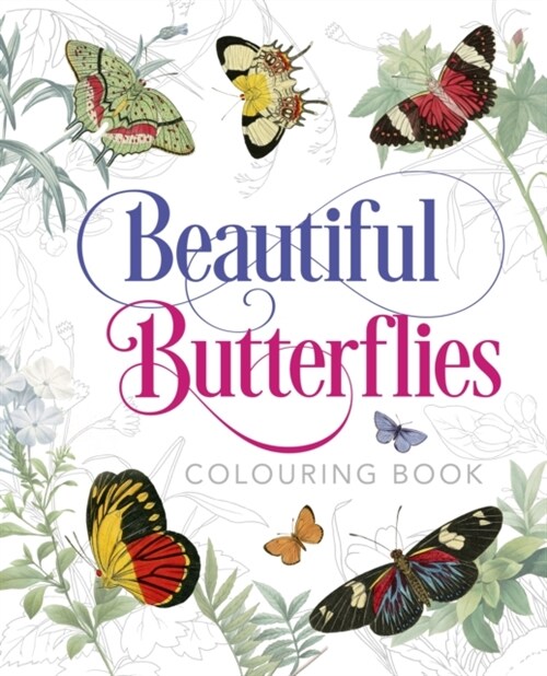 Beautiful Butterflies Colouring Book (Paperback)