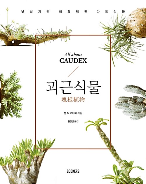 괴근식물= All about caudex : 낯설지만 매혹적인 다육식물