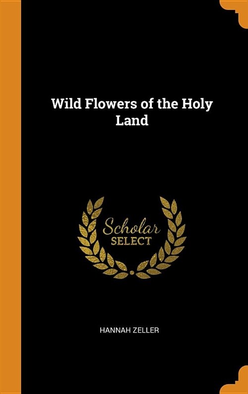 Wild Flowers of the Holy Land (Hardcover)