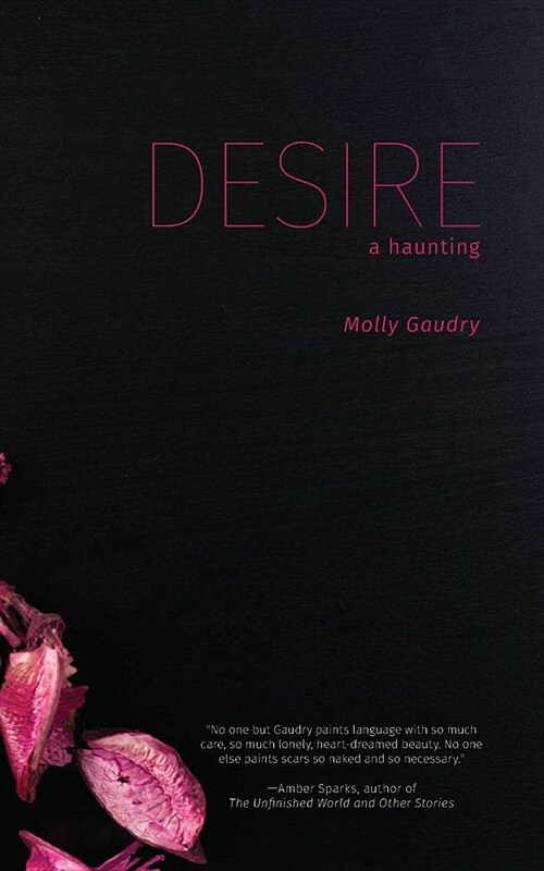 Desire: A Haunting (Paperback)