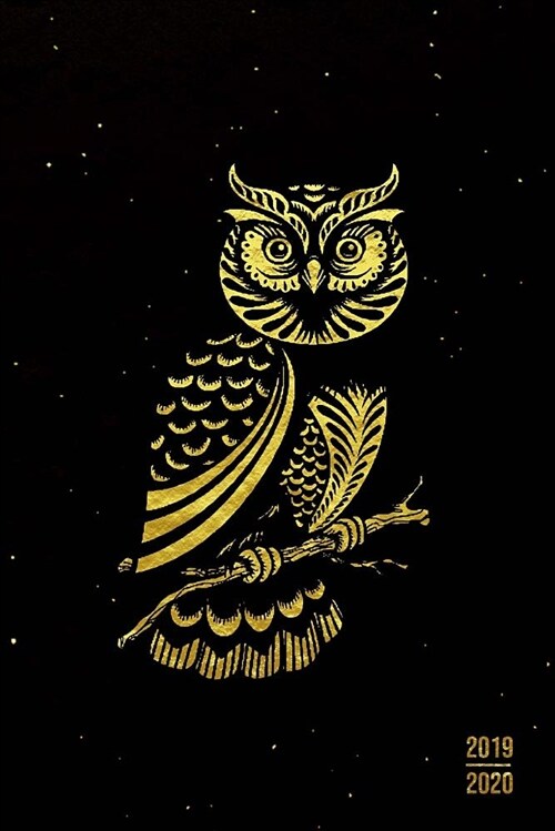 2019 - 2020: Planner 2 Years Monthly Weekly Calendar Organizer Diary with Essential Goals and Notes Section - Gold Horned Owl Bird (Paperback)