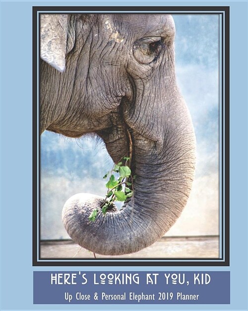 Heres Looking at You, Kid Up Close & Personal Elephant 2019 Planner: Weekly Monthly Calendar Organizer and Engagement Book (Paperback)