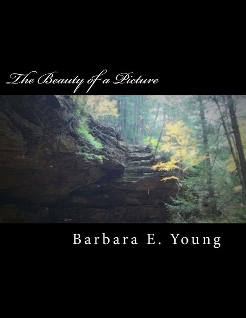 The Beauty of a Picture: A Collection of My Photography (Paperback)