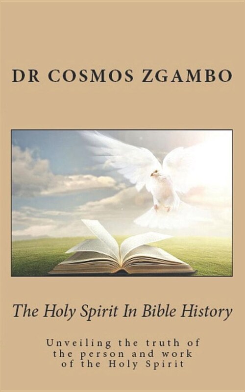 The Holy Spirit in Bible History: Unveiling the Truth of the Person and Work of the Holy Spirit (Paperback)