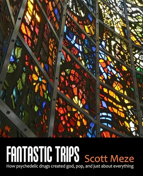 Fantastic Trips: How Psychedelic Drugs Created God, Pop, and Just about Everything (Paperback)
