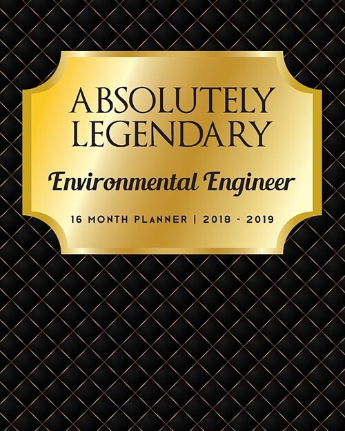 Absolutely Legendary Environmental Engineer: 16 Month Planner 2018 - 2019 (Paperback)