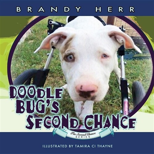Doodle Bugs Second Chance (Paperback)