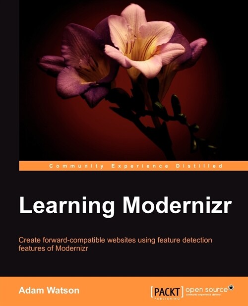 Learning Modernizr (Paperback)