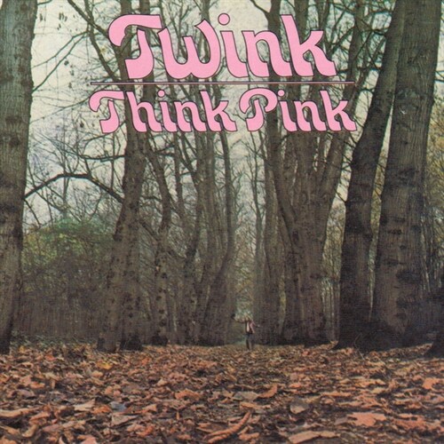 [수입] Twink - Think Pink [180g 1LP / Grey & Black Mixed 컬러 바이닐 / 게이트폴드]