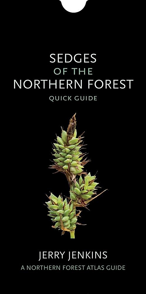 Sedges of the Northern Forest: Quick Guide (Other)