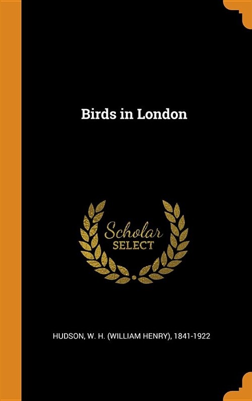 Birds in London (Hardcover)