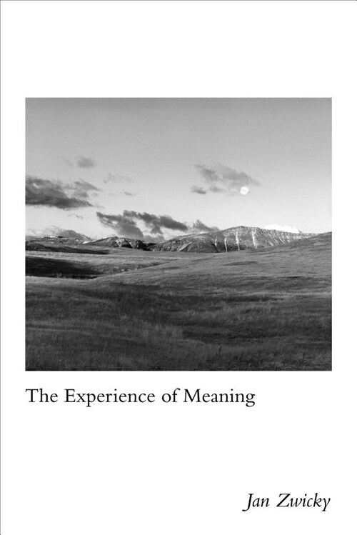 The Experience of Meaning (Hardcover)