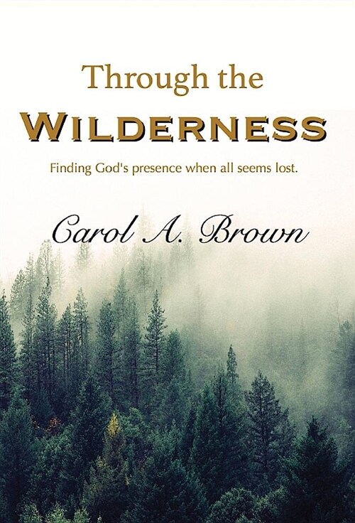 Through the Wilderness: Finding Gods Presence When All Seems Lost. (Hardcover, Hardback)