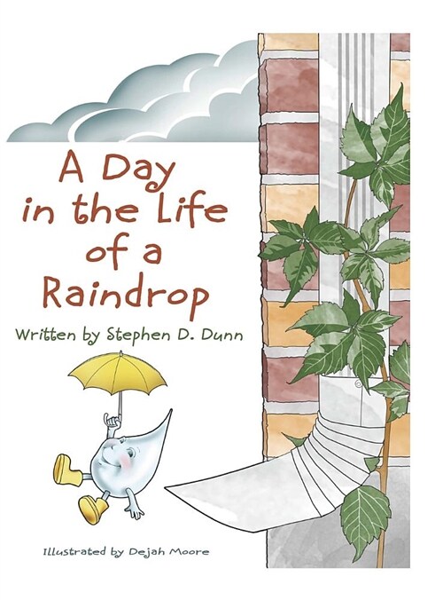 A Day in the Life of a Raindrop (Hardcover)