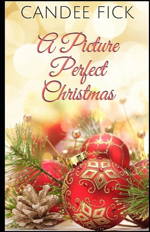 A Picture Perfect Christmas (Paperback)