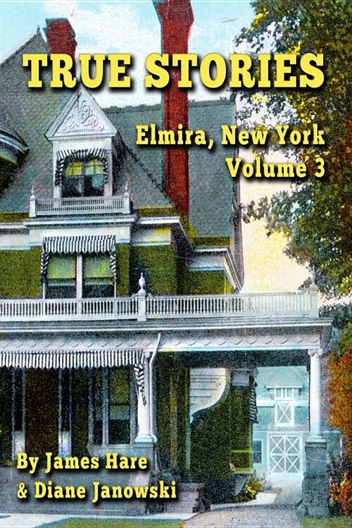 True Stories: Elmira, New York Volume 3 (Paperback)