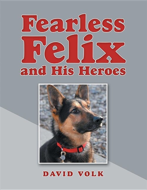 Fearless Felix and His Heroes (Paperback)