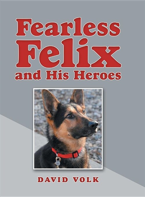Fearless Felix and His Heroes (Hardcover)