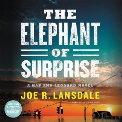 The Elephant of Surprise (Audio CD)