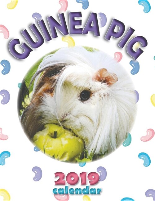 Guinea Pig 2019 Calendar (Paperback)