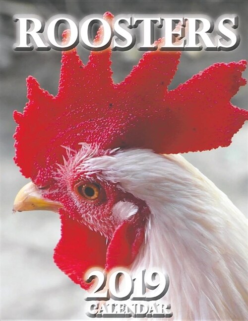 Roosters 2019 Calendar (Paperback)