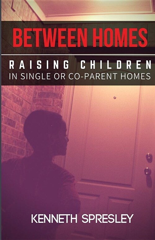 Between Homes: Raising Children in Single or Co-Parent Homes (Paperback)