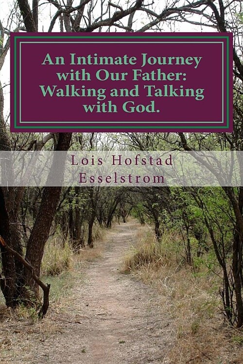 An Intimate Journey with Our Father: Walking and Talking with God (Paperback)