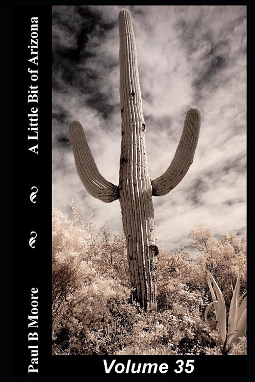 A Little Bit of Arizona: Volume 35 (Paperback)