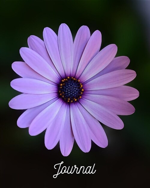 Journal: Blank Lined Notebook 8x10 Purple Daisy Flower Bloom Blossom (Paperback)