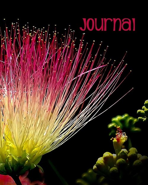 Journal: Blank Lined Notebook 8x10 Pink Exotic Flower Bloom Blossom (Paperback)