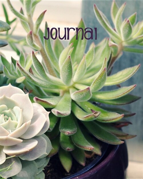 Journal: Blank Lined Notebook 8x10 Succulent Cactus Cute Western Journal for Women (Paperback)
