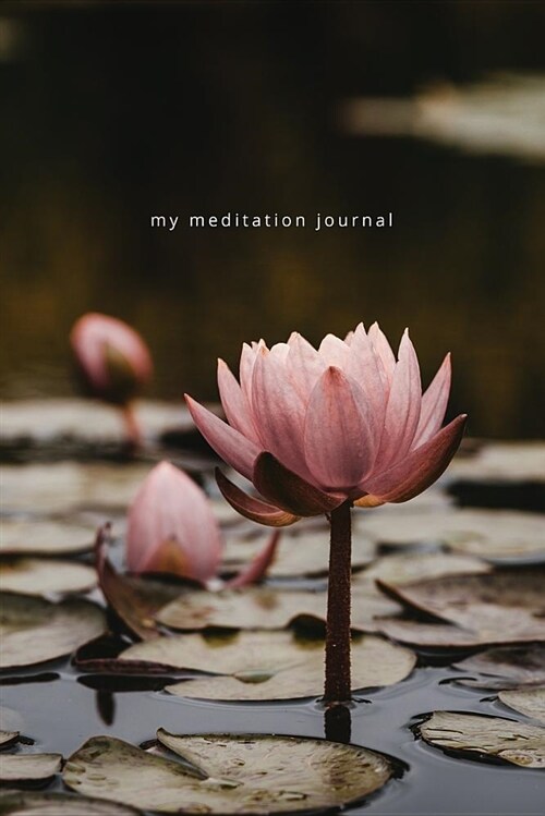 Meditation Series: Lily Journal (Paperback)