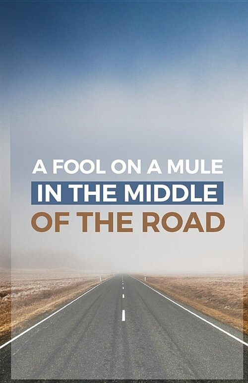 A Fool on a Mule in the Middle of the Road: A Sermon Starter (Paperback)