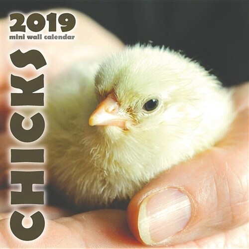 Chicks 2019 Mini Wall Calendar (Paperback)