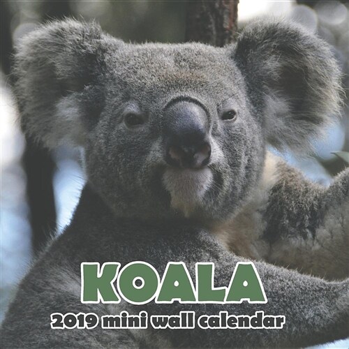 Koala 2019 Mini Wall Calendar (Paperback)