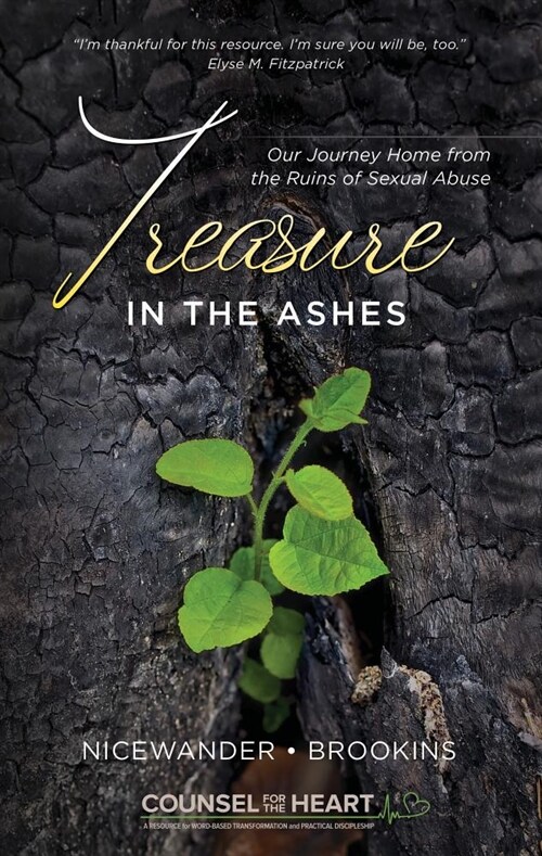 Treasure in the Ashes: Our Journey Home from the Ruins of Sexual Abuse (Paperback)