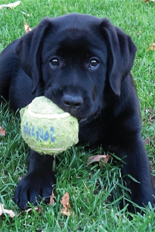 Black Lab Puppy Planner: Dog Wisdom Quotes (Paperback)