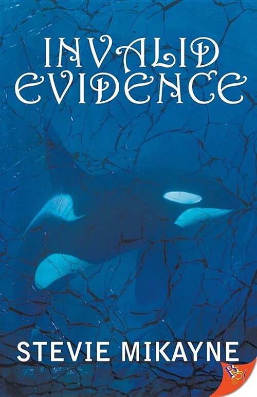 Invalid Evidence (Paperback)