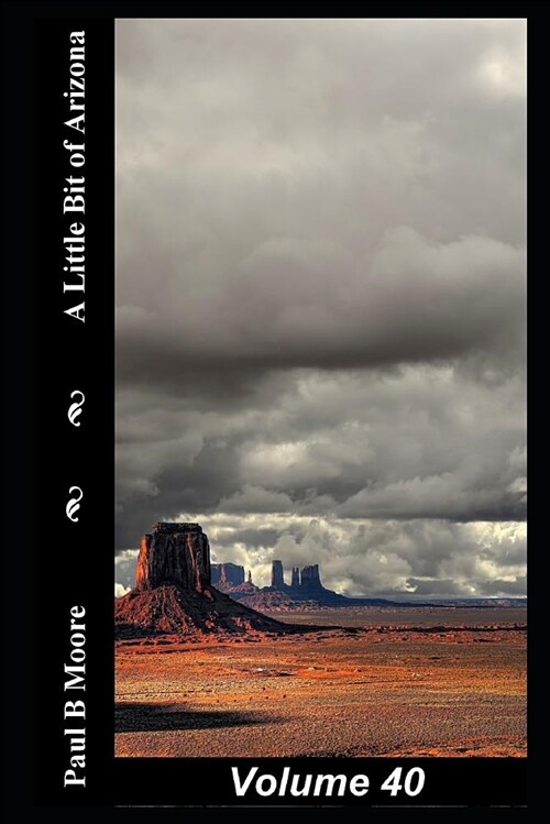 A Little Bit of Arizona: Volume 40 (Paperback)
