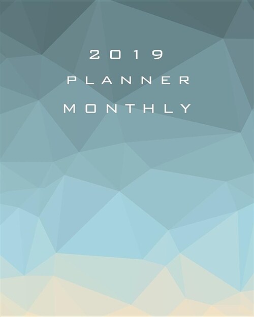 2019 Planner Monthly: 12 Month January 2019 to December 2019 for to Do List Calendar Schedule Organizer and Soclal Media Passwords and Journ (Paperback)