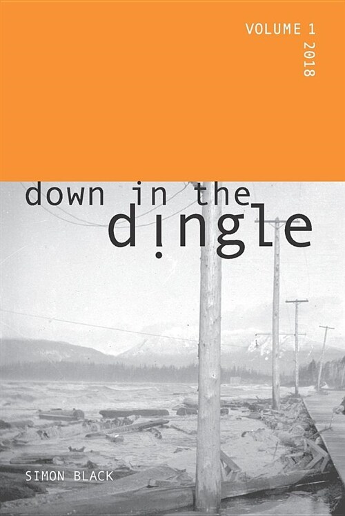 Down in the Dingle: Best of 2018 (Paperback)