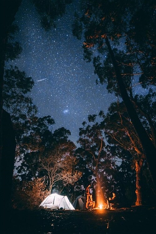 Campfire Starry Night Photo (Paperback)