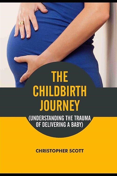 The Childbirth Journey: Understanding the Trauma of Delivering a Baby (Paperback)