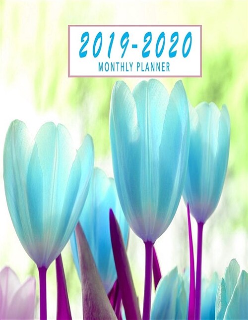 2019-2020 Planner Monthly: Two Year Calendar Planner January 2019 - December 2020 Monthly Planner Schedule Organizer Agenda Planner (Paperback)