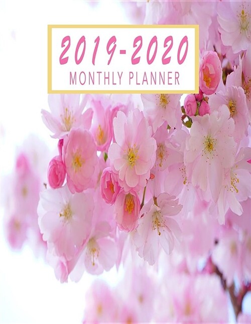2019-2020 Monthly Planner: Two Year Calendar Planner - January 2019 - December 2020 Monthly Planner Schedule Organizer Agenda Planner Floral (Paperback)