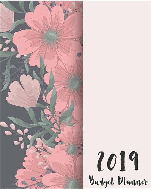 2019 Budget Planner: Budget Financial Planner, Finance Monthly & Weekly Budget Planner Expense Tracker Bill Organizer, Monthly Calendar Org (Paperback)