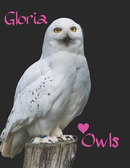 Gloria Owls: This Journal Lets You Be Creative with This Uniquely Designed Journal Notebook and Diary for Men, Woman, Boys and Girl (Paperback)