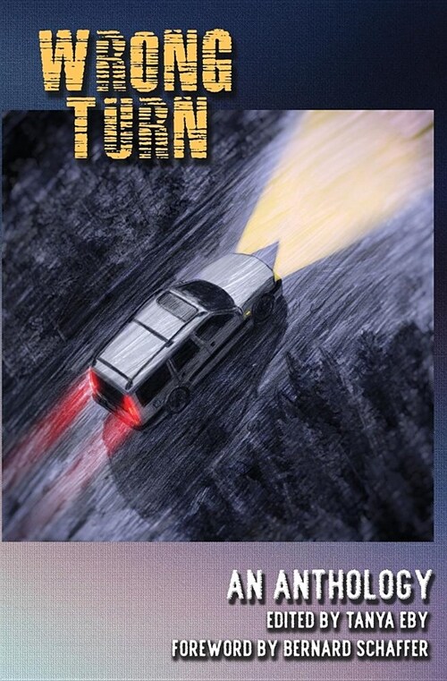 Wrong Turn (Paperback)