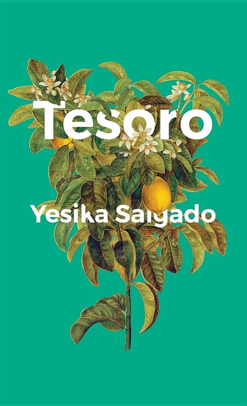 Tesoro (Hardcover)