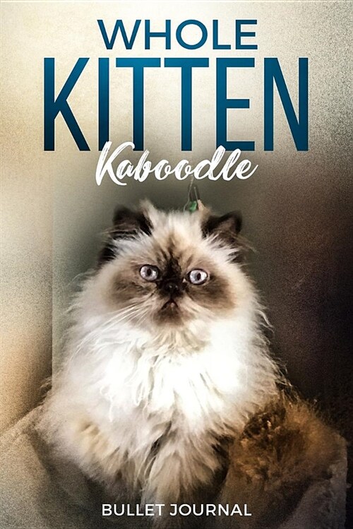 Whole Kitten Kaboodle Bullet Journal: Daily Notebook for Organization and Time Management (Paperback)